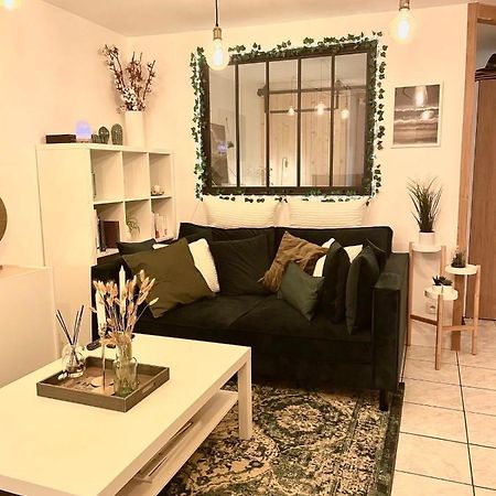Petit Cocon Au Coeur D'Annecy Apartment Ngoại thất bức ảnh