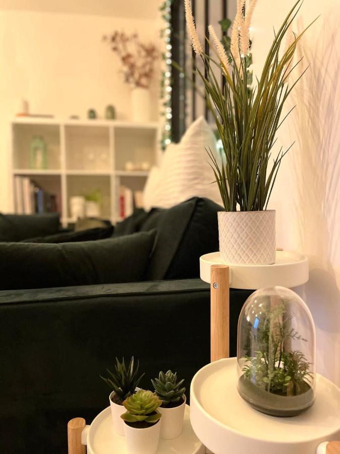Petit Cocon Au Coeur D'Annecy Apartment Ngoại thất bức ảnh