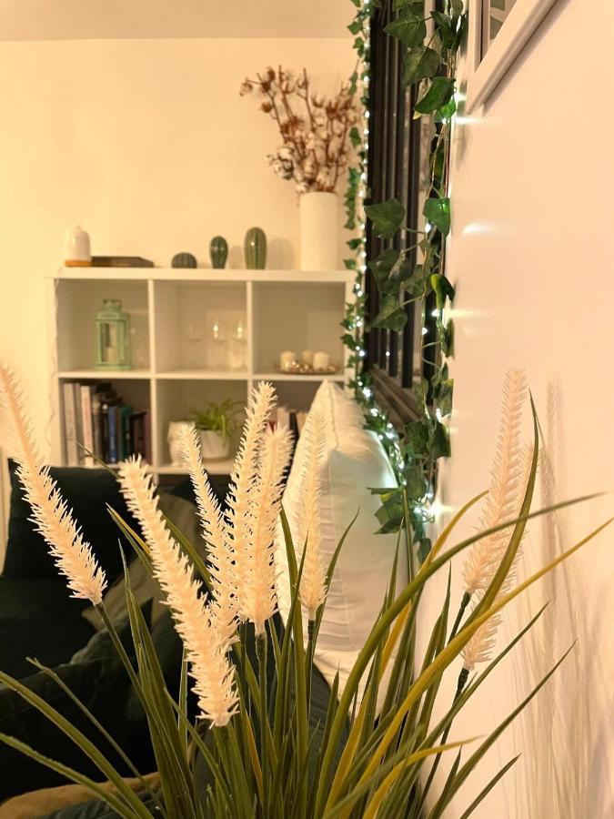 Petit Cocon Au Coeur D'Annecy Apartment Ngoại thất bức ảnh