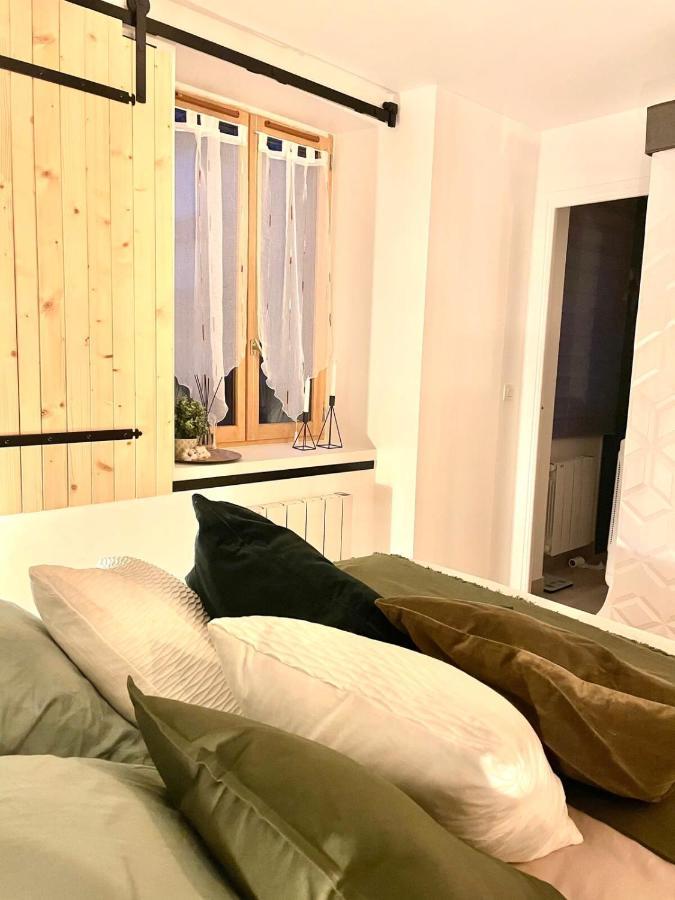 Petit Cocon Au Coeur D'Annecy Apartment Ngoại thất bức ảnh