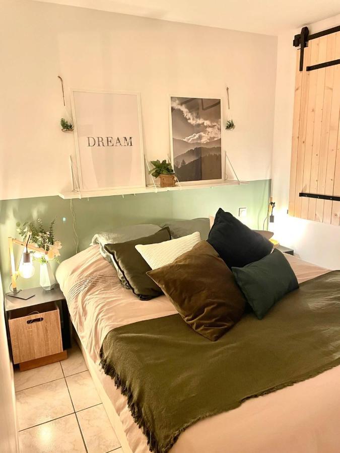 Petit Cocon Au Coeur D'Annecy Apartment Ngoại thất bức ảnh